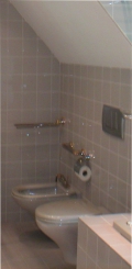 sanireno